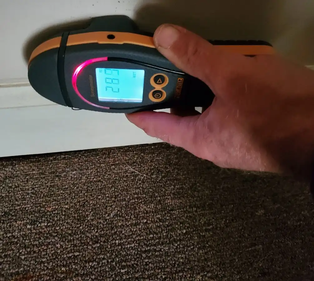 Moisture detection at baseboard during Sewage Cleanup & Sanitation in Macedon